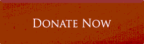 Donate Now