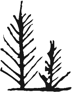 Ink Painted Trees