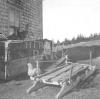 Sleigh used in winter to transport fuelwood. Children would use the sleigh for recreational purpose but always return the sleigh. (Viola Christmas Collection)